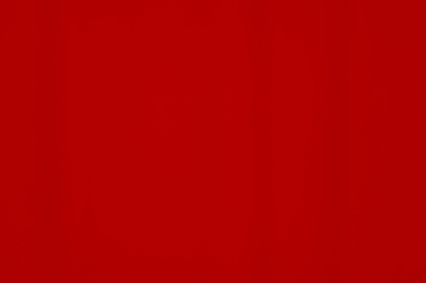 Spandex Carvico Vita Redcoat $/foot