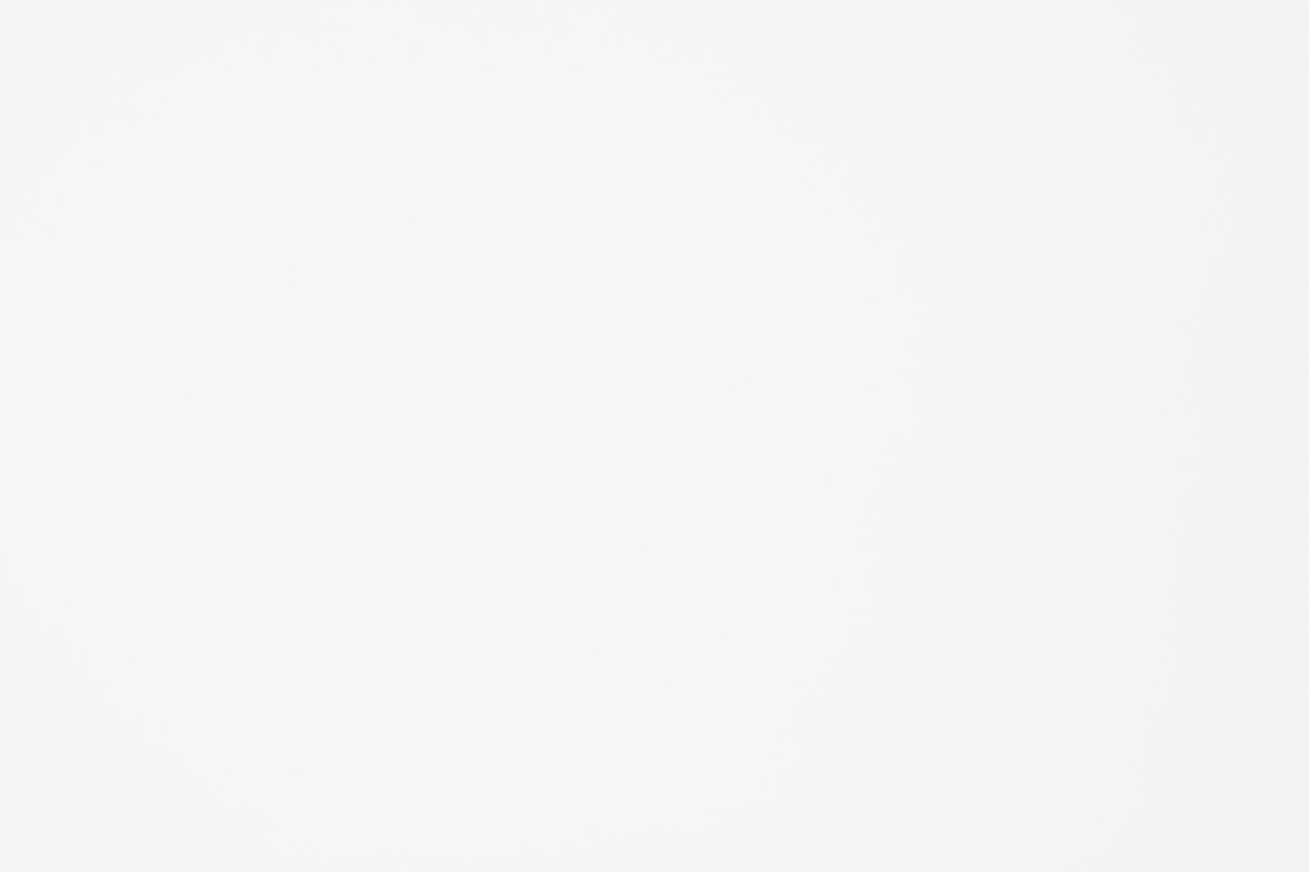 Mesh Carvico Alicante Bianco $/foot