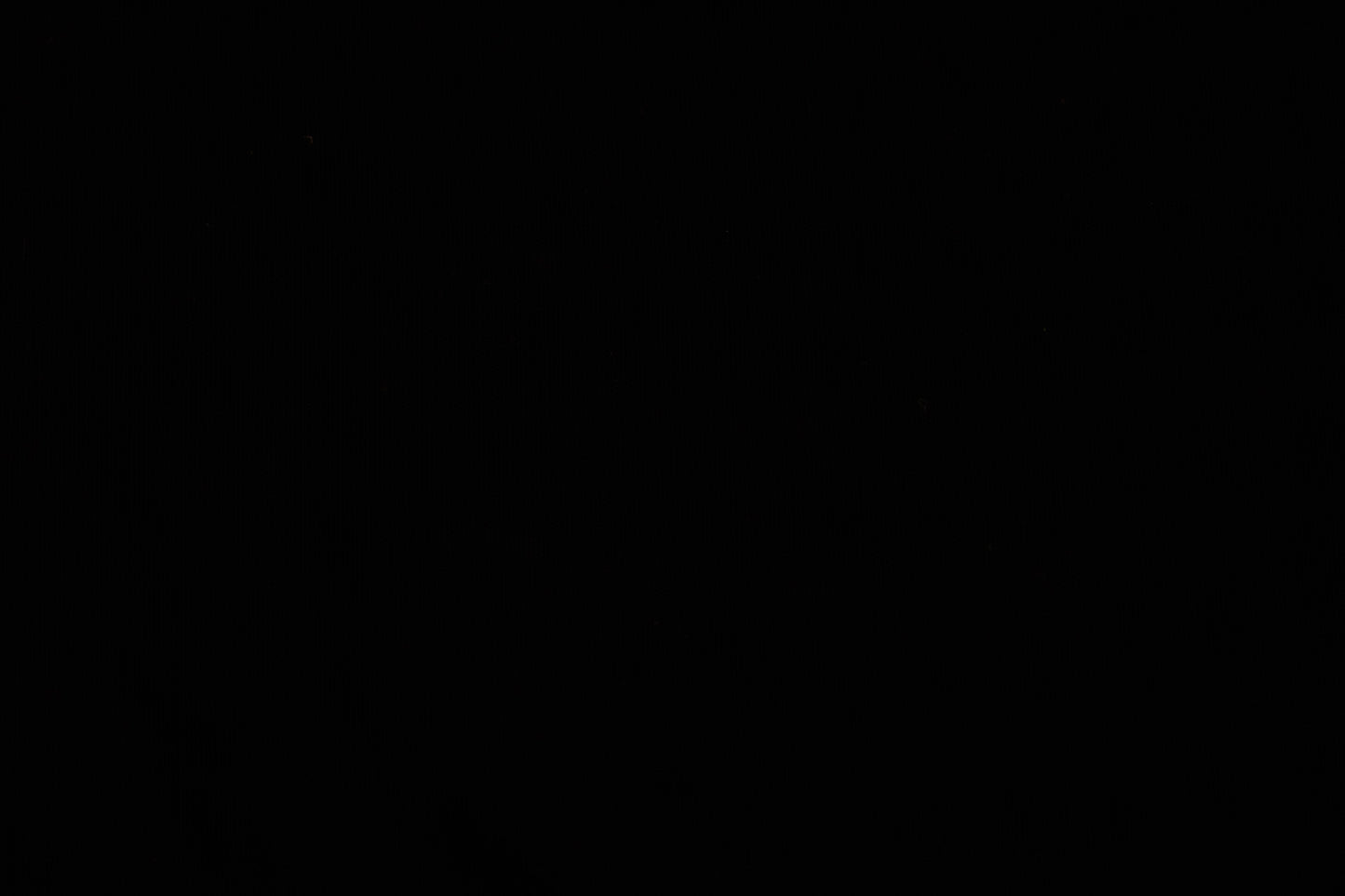 Mesh Carvico Alicante Nero $/foot