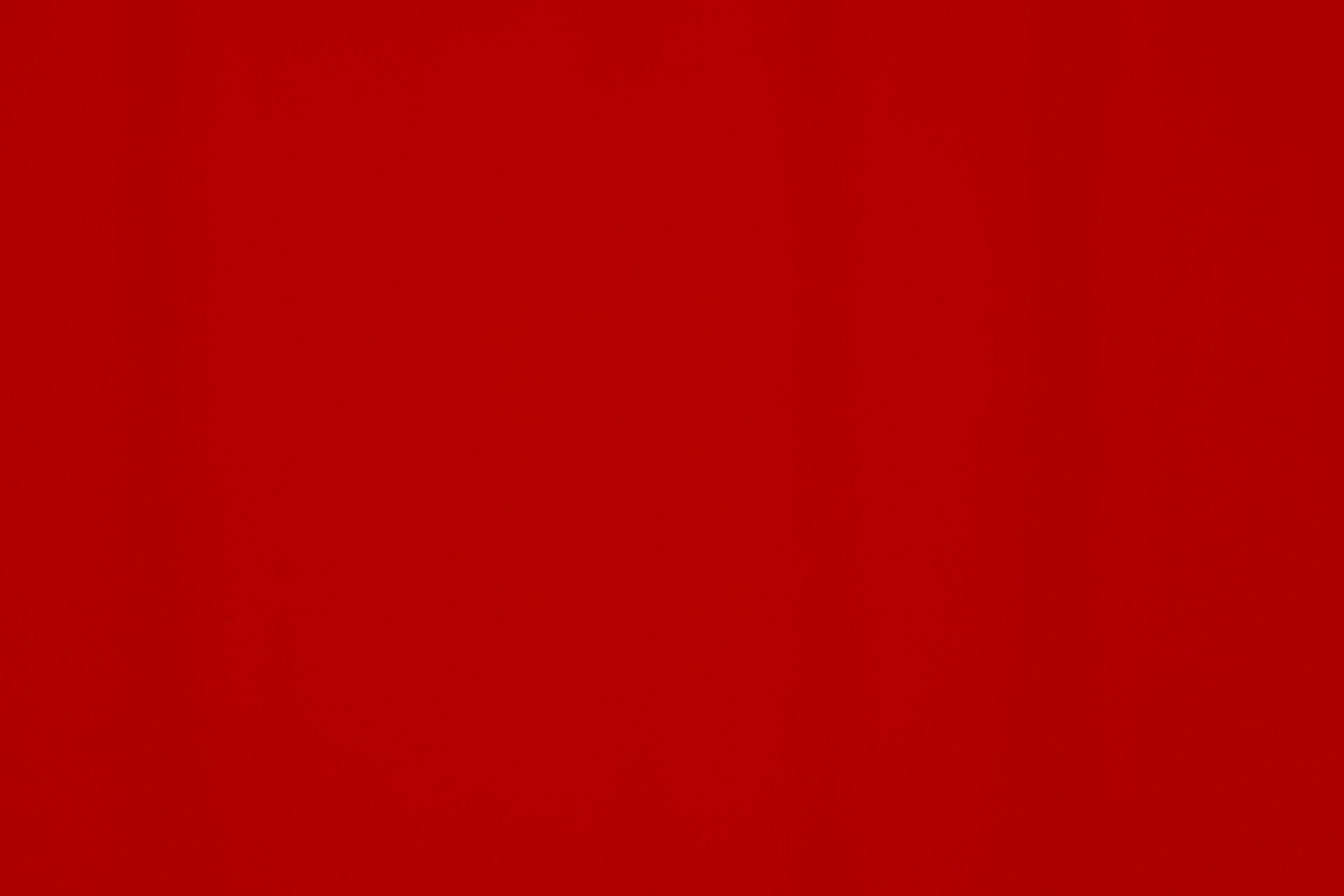 Spandex Carvico Vita Redcoat $/foot