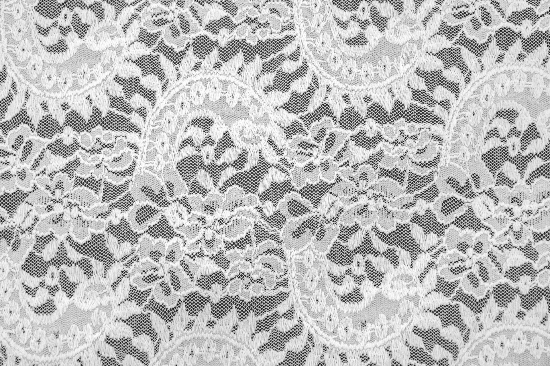 Stretch Lace Paisley White $/foot
