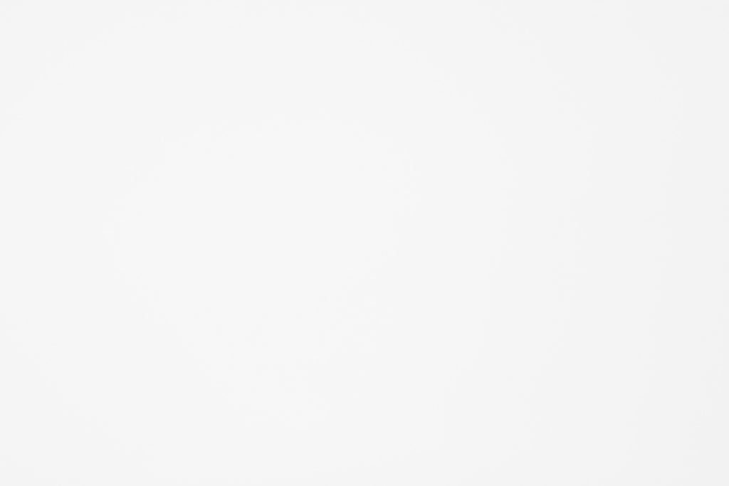 Mesh Carvico Alicante Bianco $/foot