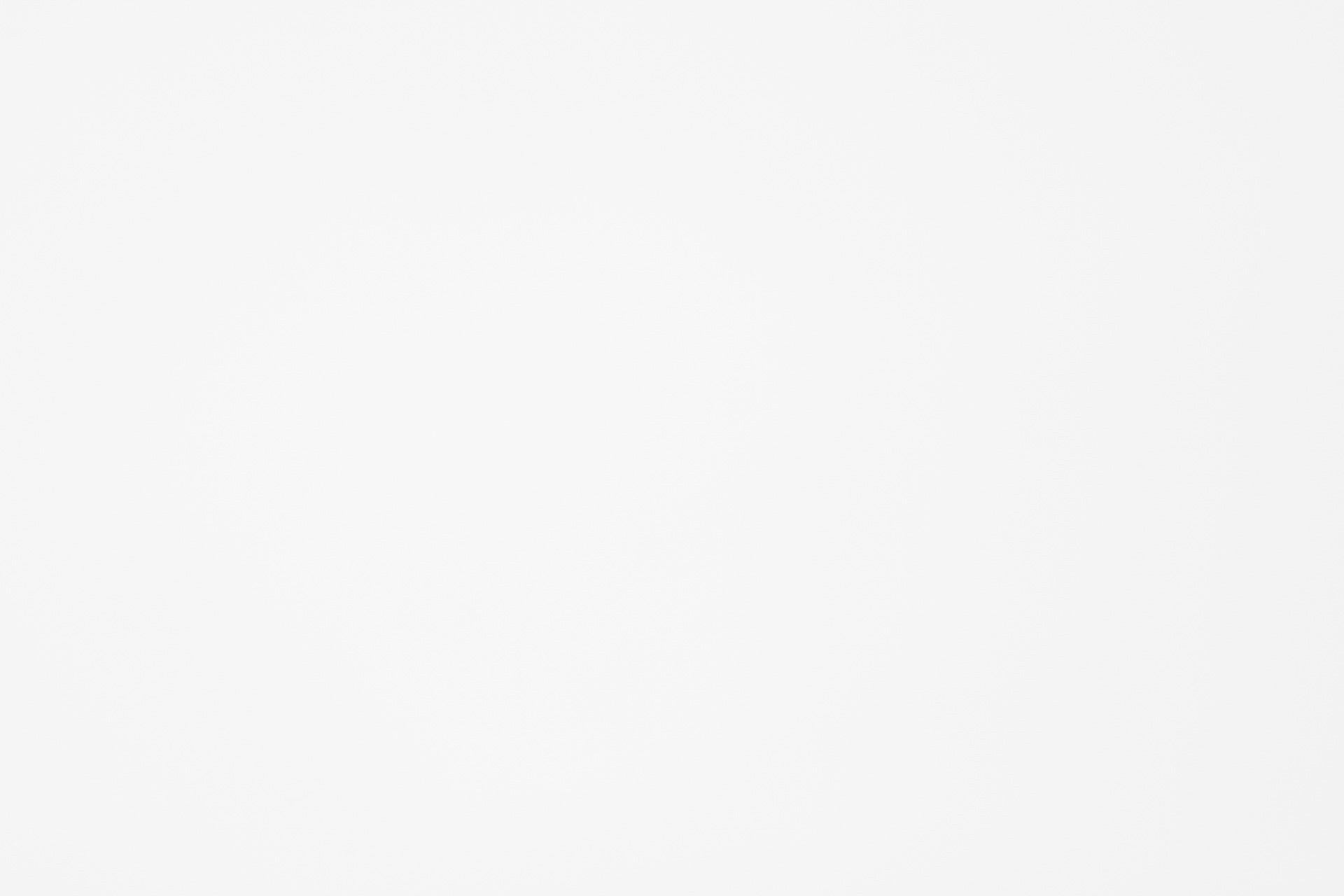 Mesh Carvico Alicante Bianco $/foot