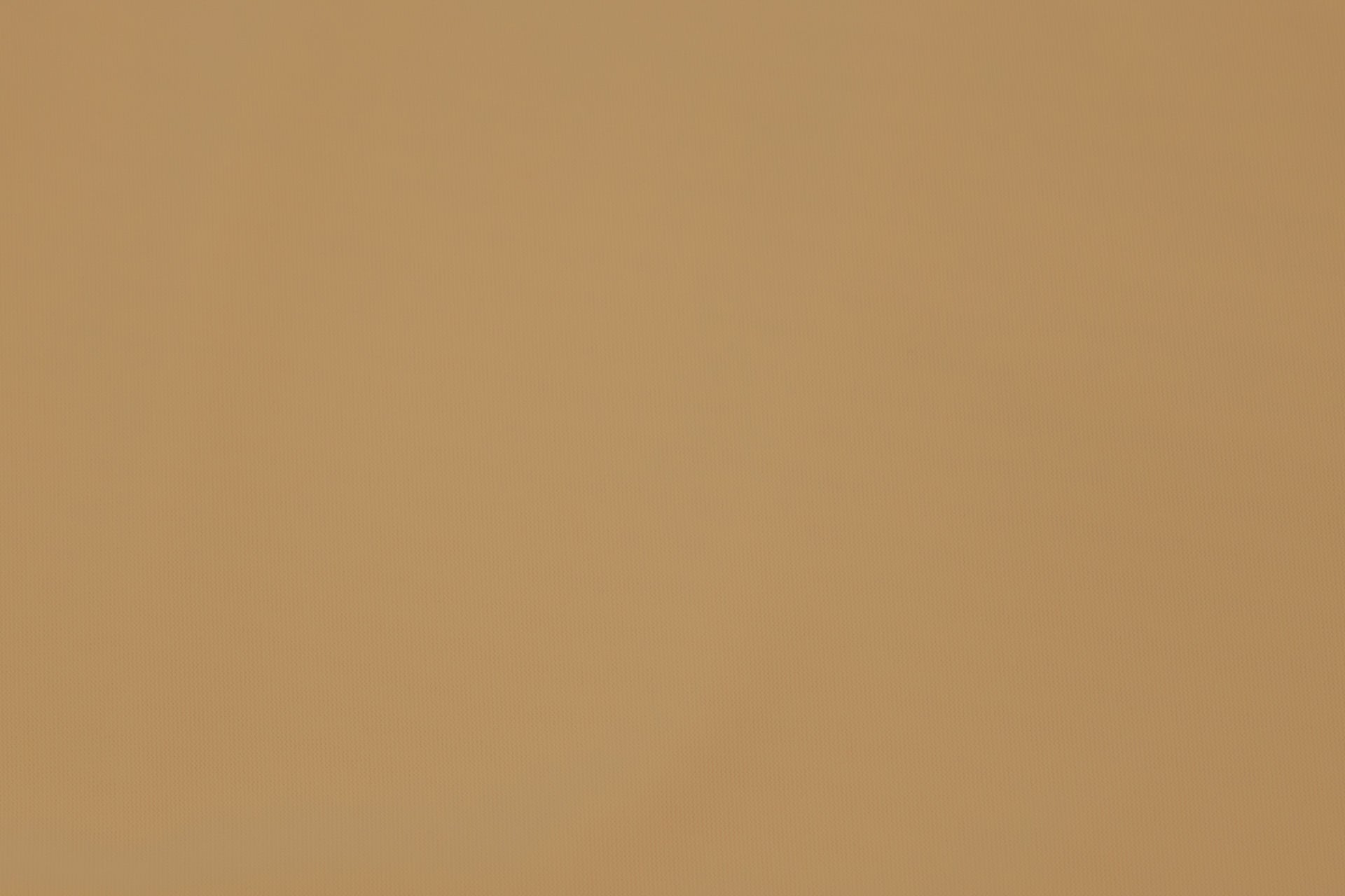 Mesh Carvico Alicante Mandorla $/foot