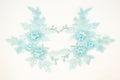 Mia 3D Floral Lace Embroidery Applique CM19x14 Aquamarine Pair
