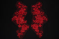 Red floral lace patches on a black background