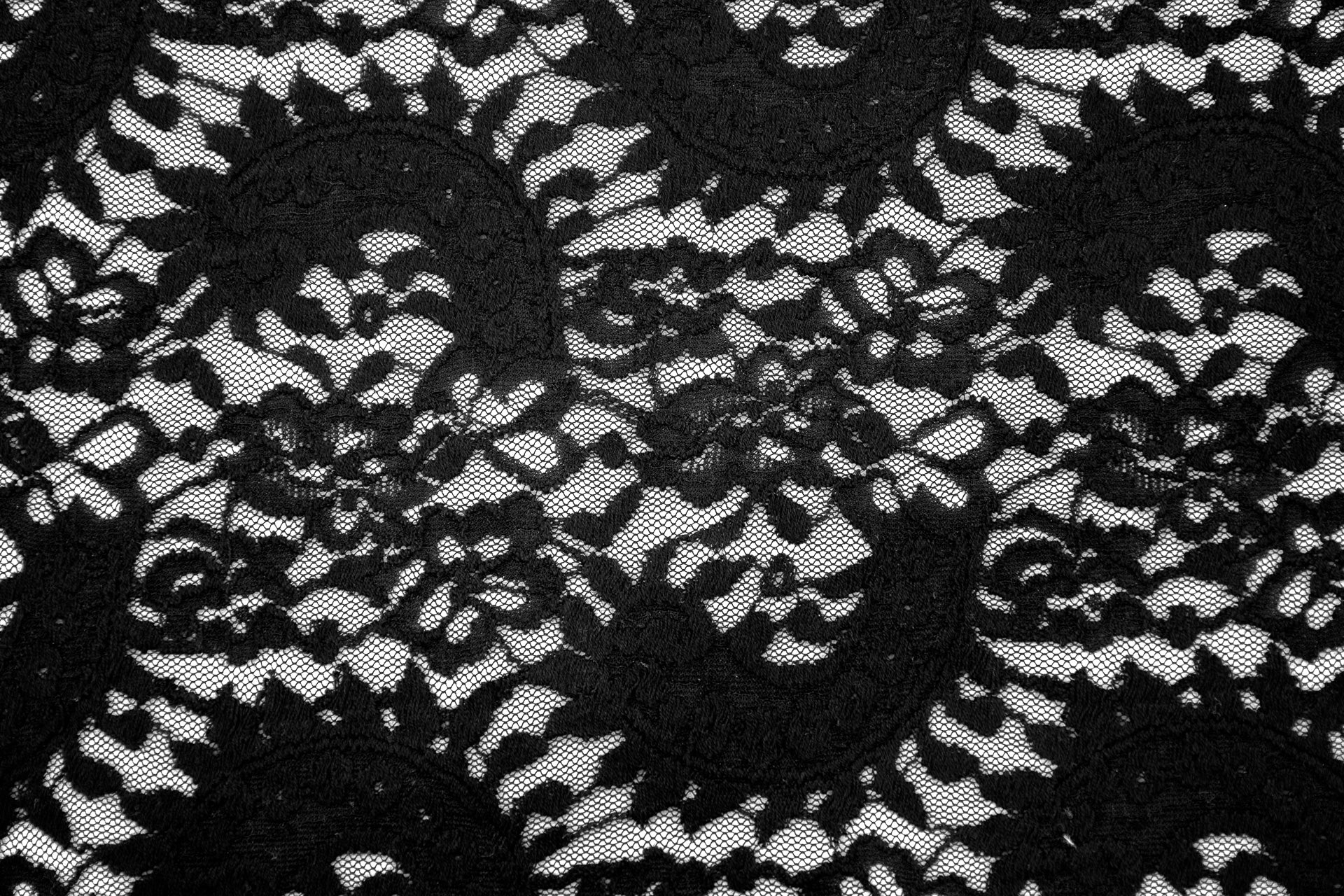 Stretch Lace Paisley Black $/foot