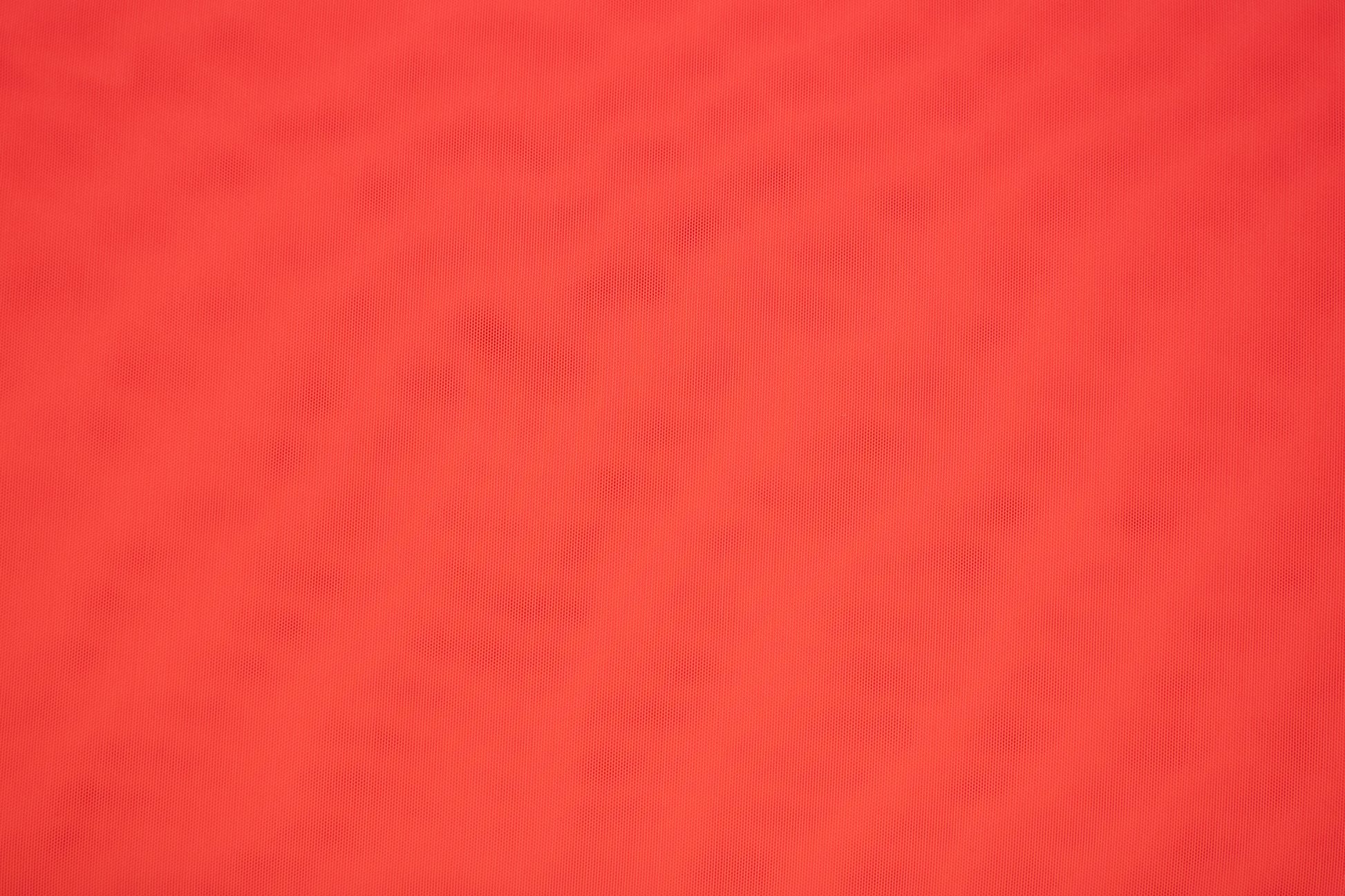 carvico alicante clementina