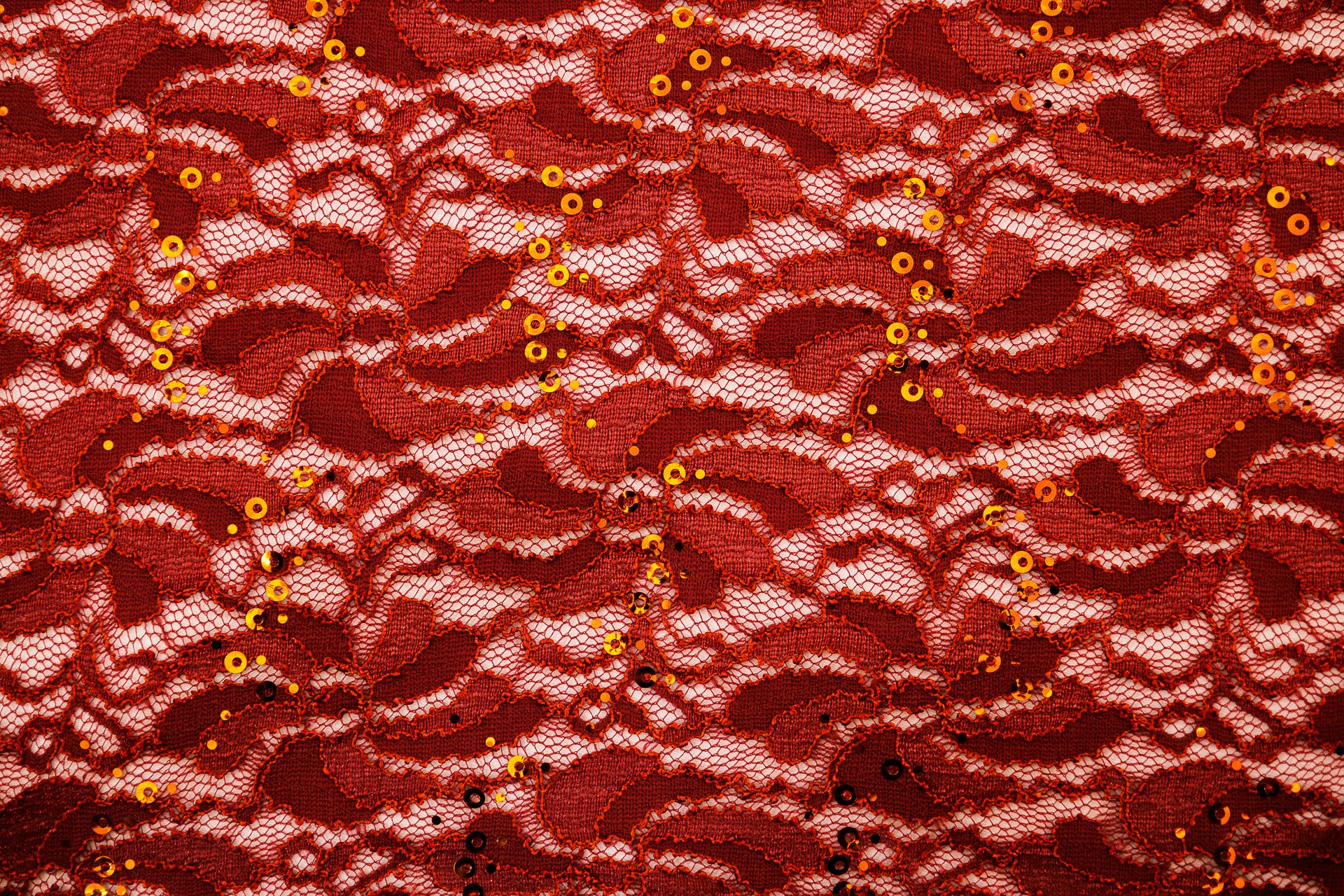 Stretch Lace Darling Garnet $/foot