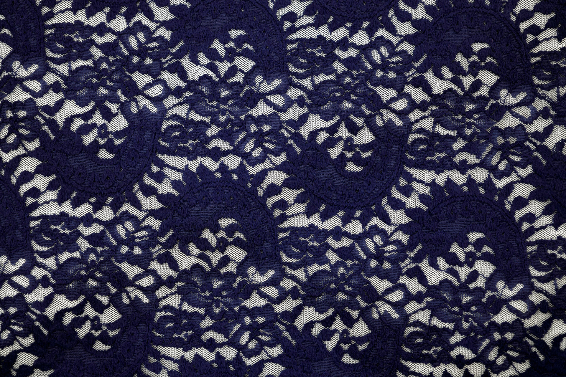 Stretch Lace Paisley Navy $/foot