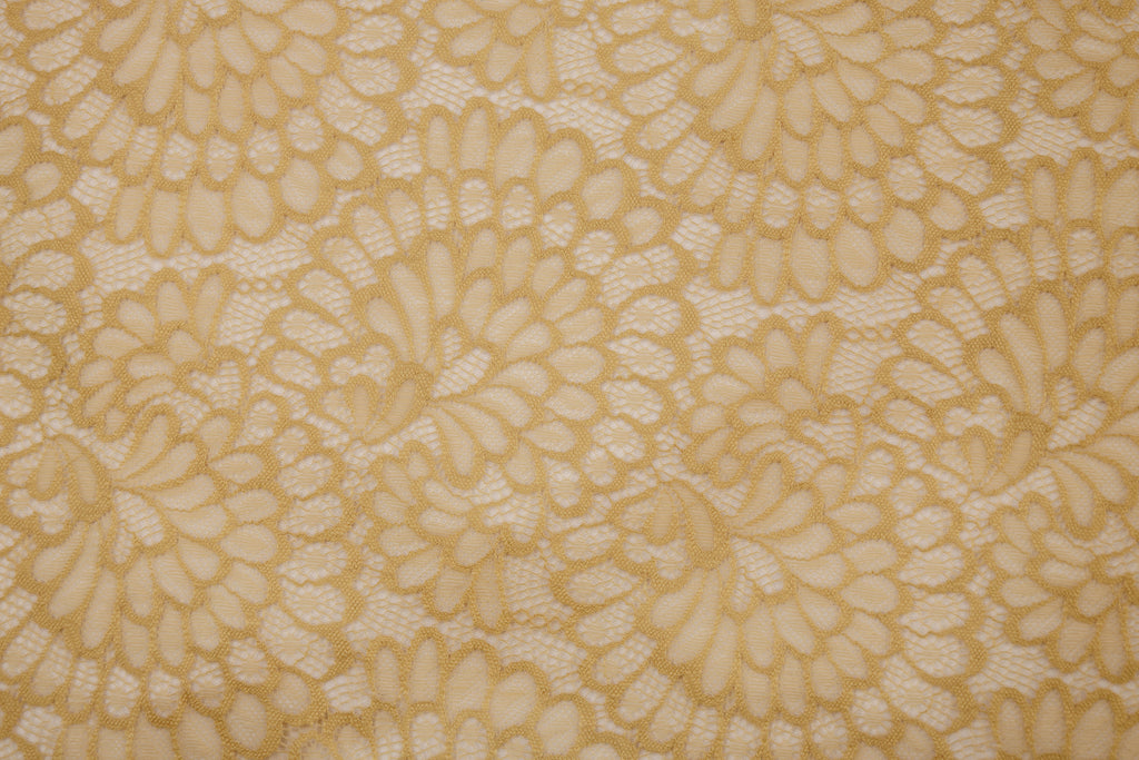 Stretch Lace Plume Nude $/foot