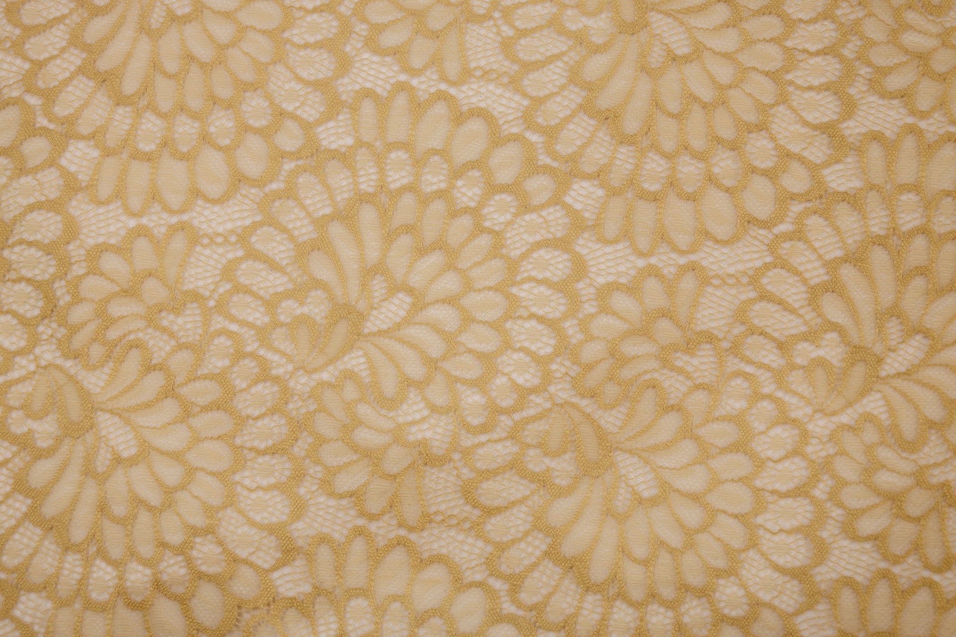 Stretch Lace Plume Nude $/foot