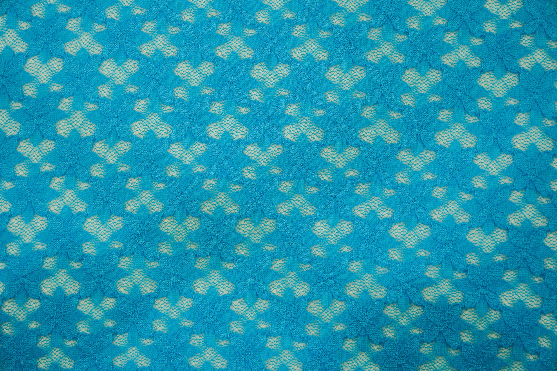 Stretch Lace Little Daisy Ocean $/foot