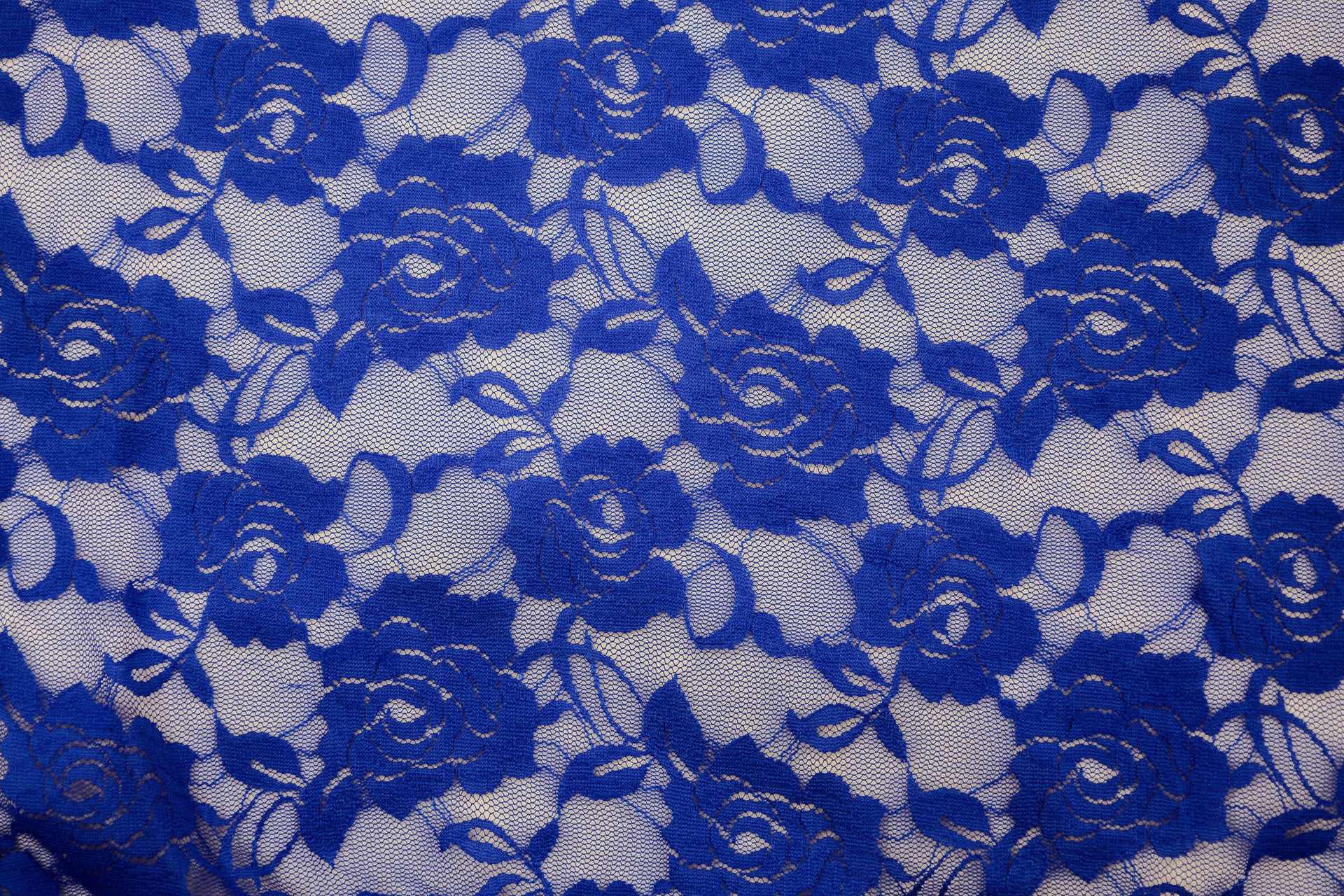 Stetch Lace Adora Royal Blue $/foot